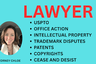 provide you IP legal consultation