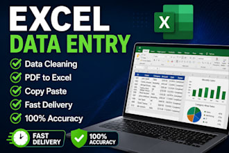 do excel data entry