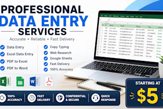 do accurate data entry, excel,typing