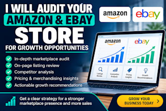 audit your amazon or ebay