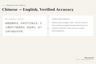 translate chinese to english accurately and professionally