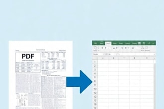 accurate data entry and google sheets excel work