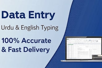 do ms word , excel , urdu english typing and data entry fast