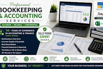do professional bookkeeping, accounting,  financial reporting