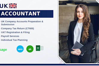 file UK limited company accounts and ct600 tax return