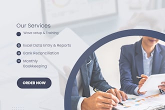 professional  wave accounting bookkeeping and bank reconcile