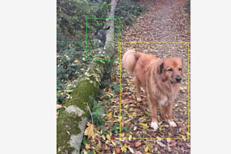 annotate pet videos with bounding box object tracking