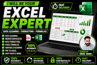 do microsoft excel data cleaning, formatting and formulas