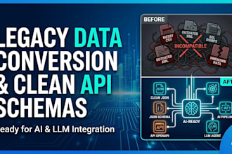 develop custom API integration and clean data schemas