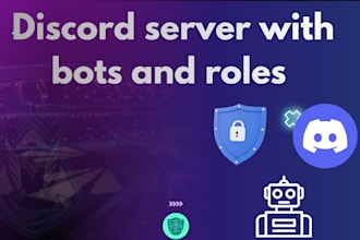 set up a professional discord server with bots and roles