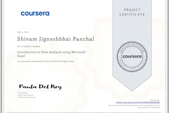 do professional data entry and excel spread sheet work
