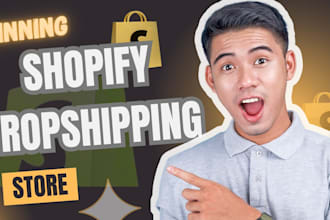 design premium USA shopify store shopify dropshipping shopify website shopify