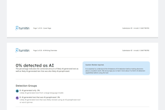 rewrite, humanize, and professionally format your report