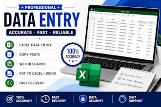 do accurate data entry, excel, copy paste and web research
