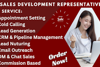 do appointment setting, cold calling, lead generation and CRM management