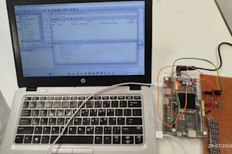 develop program and test fpga projects for xilinx gowin and opensource boards
