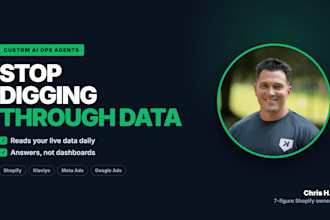 build a custom ai agent for your ecommerce store operations