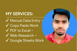 fast and accurate data entry, excel, web research
