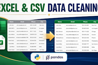 clean and organize your excel or CSV data