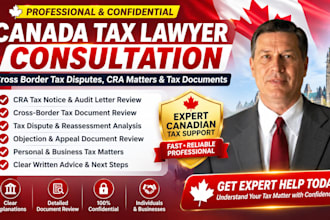 provide canada tax lawyer consultation for cross border tax disputes, cra matter