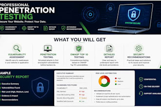 l perform professional web application penetration testing