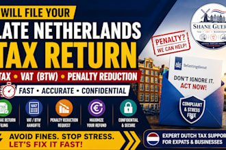 file your late netherlands tax return and reduce belastingdienst penalties fast