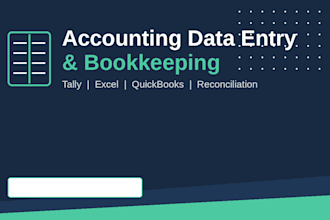 do accounting data entry and bookkeeping in tally and excel