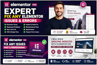 fix elementor website issues, create elementor wordpress site by elementor pro