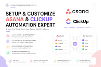 setup and customize asana expert and clickup automation, asana clickup expert