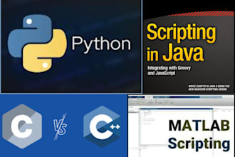 script java python bot c sql database project developer coder coding programming
