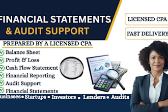 prepare financial statements, reports, audit support, balance sheet, p and l