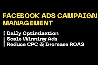 setup and manage facebook ads campaign for sales