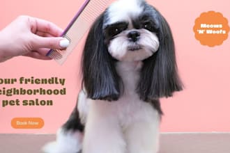 design a professional website for dog and cat grooming business in canva
