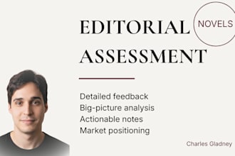 provide a professional editorial assessment of your novel