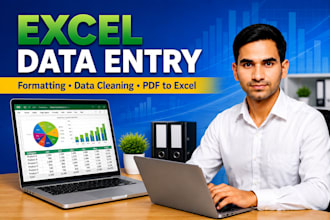 do excel data entry, formatting and spreadsheet cleanup