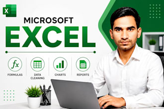 do microsoft excel data entry and formatting