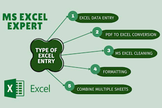 convert PDF to excel and clean up formatting professionally