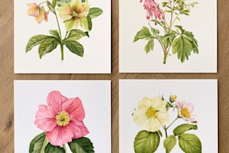 draw botanical illustration with hand drawn