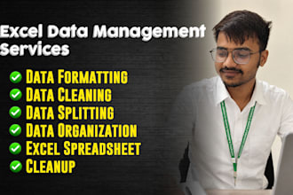 do microsoft excel data entry, formatting and data cleaning