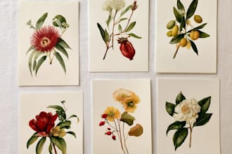 draw botanical illustrations of flowers plants