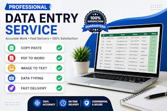 do deta entry , copy paste , pdf to conversion word and assignment writing