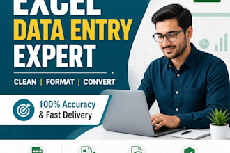 do excel data entry, data cleaning, and formatting