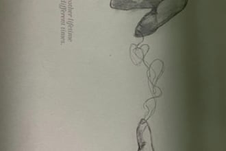 sketch a simple illustration