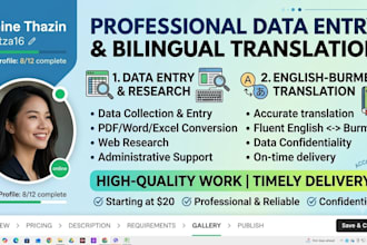 do excel data entry and english to burmese translation