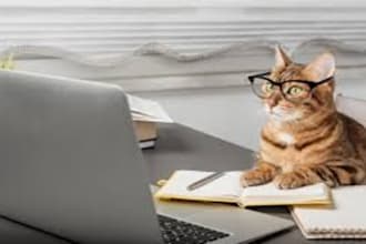 write, proofread, edit, fact correct spelling and grammar