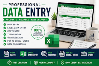 do accurate data entry, copy paste,excel and typing work