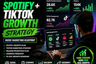 create a custom indie artist marketing plan for spotify growth