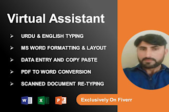 do professional data entry, ms word formatting, and urdu english typing