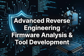 do advanced reverse engineering, firmware analysis, and software development