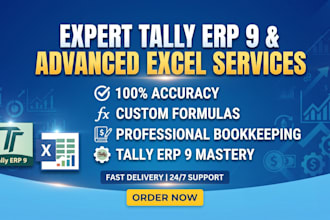 provide expert advanced excel and tally services